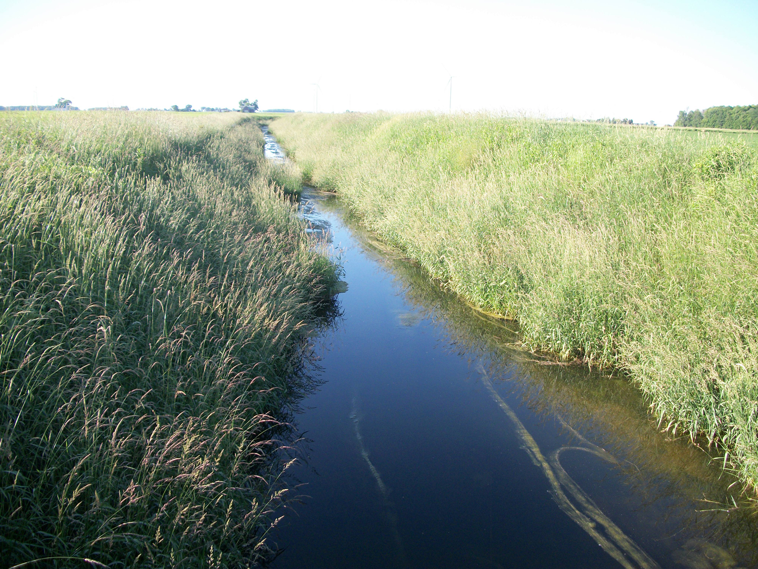 Open drainage ditch surrounded by tall grass, with wind turbines faintly visible in the distance.