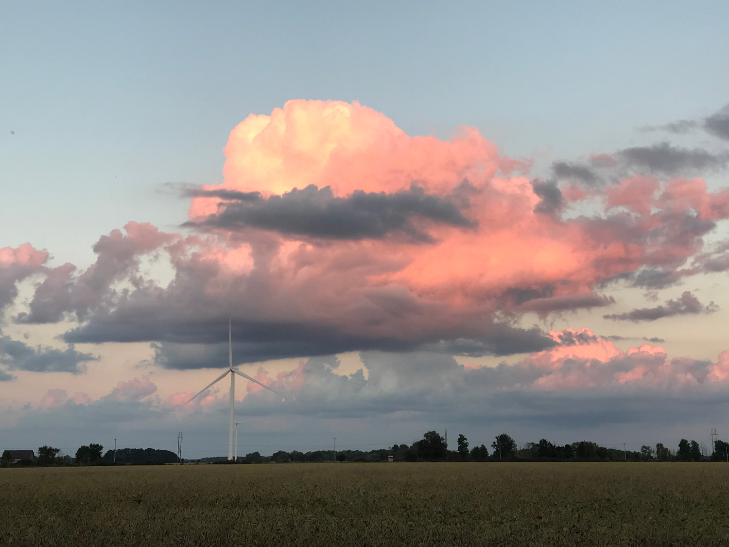 A single wind turbine set against a vibrant sky with pink clouds during sunset.